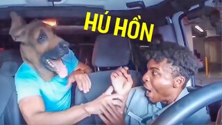 Cười rụng rún với những trò đùa và dọa nạt vui nhộn