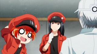 [Hataraku Saibou II] Akibat makan ketumbar, sel darah merah (di dalam tubuh) mulai lepas~