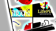 The business brain podcast by ST Rappaport of LifePix University. A Fun-tastic W