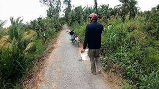 Hunter in VietNam #T1| BẮN NÁ ĐĂNG PHI HỔ  HẠ CÒ / nướng mọi đồng quê "Bird hunting with slingshot