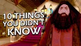 10 Things You Didn't Know About The Harry Potter Video Games