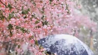 【微信：6435148】远程监控老婆微信聊天语音记录(手机怎样远程控制另一部手机或电脑?)