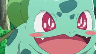 Who can resist hanging out with Bulbasaur?