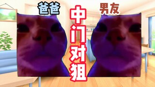 【猫meme】当我的i人男友第一次跟我回家见父母。。