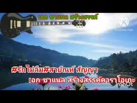 @รักไม่ลืม คาราโอเกะ@ศิลปิน สายัณห์ สัญญา[official Audio]