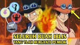 BADASS!!! SELURUH BUAH IBLIS YANG SUDAH BERGANTI PEMILIK DAN YANG SUDAH MATI!!!