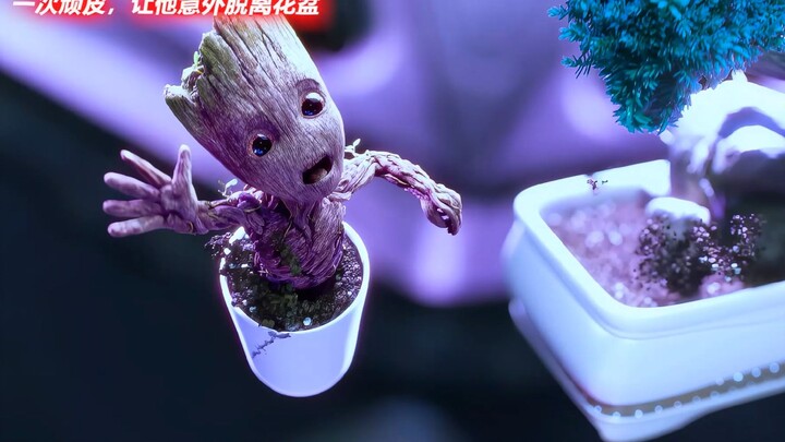 照顾格鲁特慢慢长大，成员们也是在治愈自己的童年吧