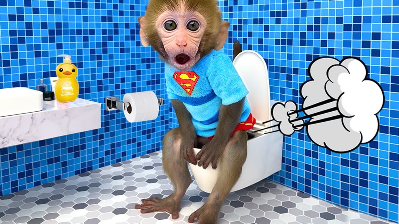 Monkey Baby Bon Bon oes to the toilet and plays with Ducklings in the  swimming pool 