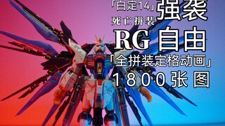 「白定14」爆肝四天！RG强袭自由！1800张全拼装定格动画！