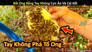 Phá Tổ Ong Bằng Tay Không Cực Ảo Và Cái Kết Căng Cực || Review Giải Trí Đời Sống