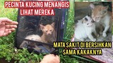 Astagfirullah Anak Kucing Kakak Beradik Lagi Sakit Di Buang Di Parkiran Teriak-Teriak Minta Tolong.!