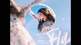 [MASHUP] 제시카 (Jessica) - FLY (선예 (Sun Ye) / Maybe Remix.)