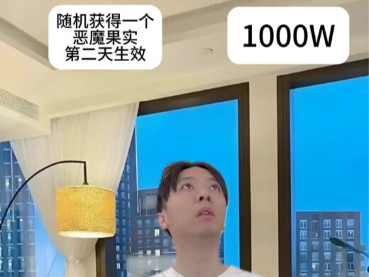 到底是什么能力的果实呢