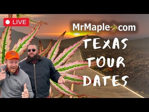 MrMaple Game Show??? Texas Meet Up! US Garden Tour Dates + Open House Updates