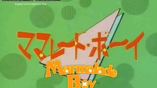 marmalade boy ep 25 eng dub