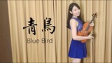 火影忍者疾風傳OP3「青鳥～Blue Bird～」小提琴演奏 - 黃品舒 Kathie Violin cover