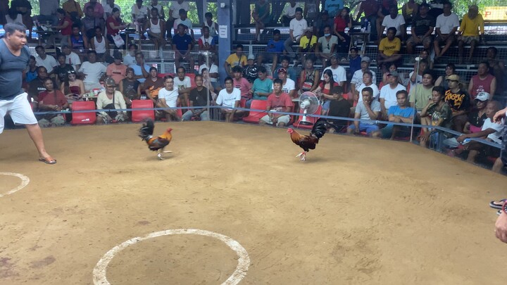 Bustos Cockpit Arena july 4, 2hits. KULOT🩸(right side)