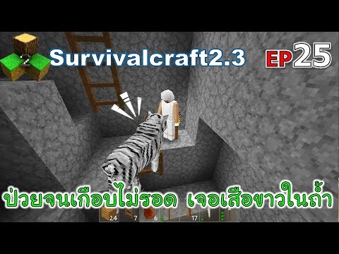 ป่วยจนเกือบไม่รอด เจอเสือขาวในถ้ำ Survivalcraft 2.3 ep.25 [พี่อู๊ด JUB TV]