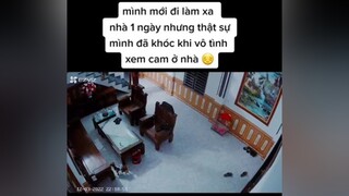 mình muốn chia sẻ với mn 1 đoạn video này, về chú chó poodie nhà mình, bình thường mình ở nhà mấy tháng nay , chăm sóc nó, và tối thì cho ngủ cùng, nhưng mình đợt này mới đi làm được 1 hôm, thì để ở n