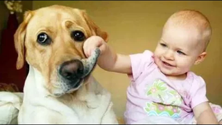 ว้าว! ทารกน่ารักคนนี้จะละลายหัวใจของคุณ - ทารกตลกหัวเราะเยาะการรวบรวม PETS