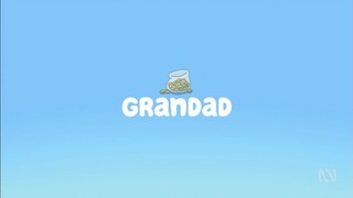 Bluey | S02E27 - Grandad (Tagalog Dubbed)