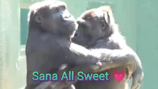 Sana All Sweet 💗