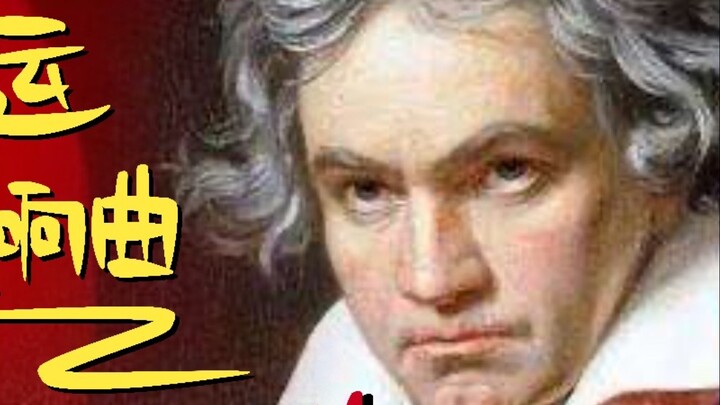 [The fate of cat and mouse] Beethoven was so angry that he died...