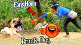 Try Not To Laugh - Fans Horn and Tiger Fake Prank vs Dogs Funny Funny prank