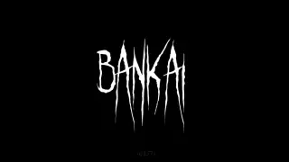 Bleach BANKAI