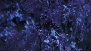 A.Moment.But.Forever.S01E04.