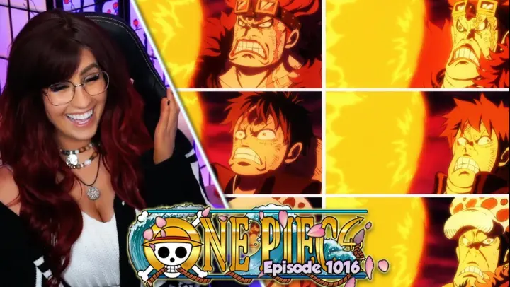 Luffy S Grandpa And Dad One Piece Reaction Episode 313 314 Bilibili