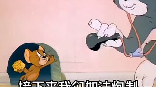 [Wajib tonton] [Game Kucing dan Tikus di Ponsel] Perjuangan bukan tentang mengklik lebih cepat dan l