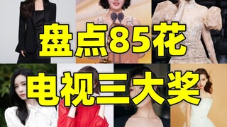 85花电视三大奖成绩盘点