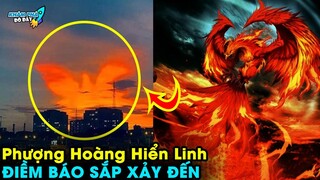 ✈️ Giải Mã 5 Loài Chim Bí Ẩn Nhất Trong Truyền Thuyết Chắc Chắn Bạn Chưa Hề Hay Biết|Khám Phá Đó Đây