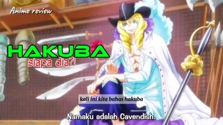 Hakuba sang misterius || one piece