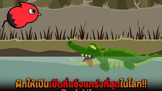 ฝึกให้เป็นเป็ดที่แข็งแกร่งที่สุดในโลก Duck Life