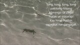 "TONG,TONG PAKITONG- KITONG"  A Filipino Folk Song/Round Song with Lyrics and Accompaniment
