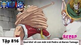 One Piece Tập 816 | Quá khứ về con mắt trái Pedro và Baron Tamago | Đảo Hải Tặc Tóm Tắt Anime