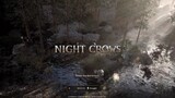 NIGHT CROW