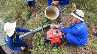 Tem Săn Bắt Ẩm Thực Vùng Cao Dốc Toàn Bộ Lực Lượng Bơm Ao Hoang Rộng Hàng Mẫu Để Bắt Cá