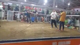gilmore win