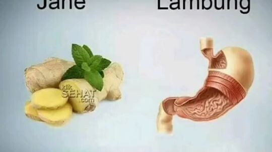 wajib tau nih. WIBU