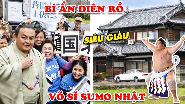 15 Bí Ẩn Thú Vị Về Sumo Ở Nhật Mà Mọi Người Chưa Biết