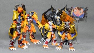 Digimon Model Chronicles - Pertempuran Greymon untuk mengetahui Digimon masa kecil Anda [The Messeng