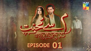 Meem Se Mohabbat | Episode 01 | Ahad Raza Mir - Dananeer Mobeen | Pakistani Drama | Hum TV