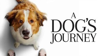 A Dog's Journey