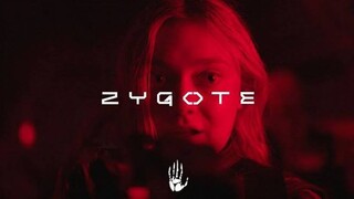 Zygote | Sub Indo