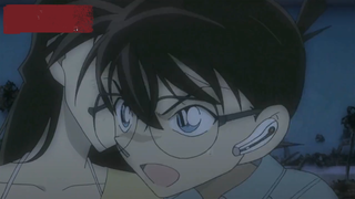 [Detective Conan] Xiaolan is someone I will save at the risk of my life