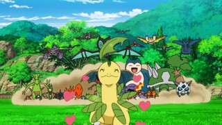 Pokémon Journey Episode 114: Ash returns to Professor Oak's backyard! Bayleaf is still as sticky as 