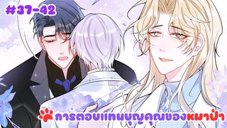 [อ่านมังงะ] การตอบแทนบุญคุณของหมาป่า ตอนที่ 37-42